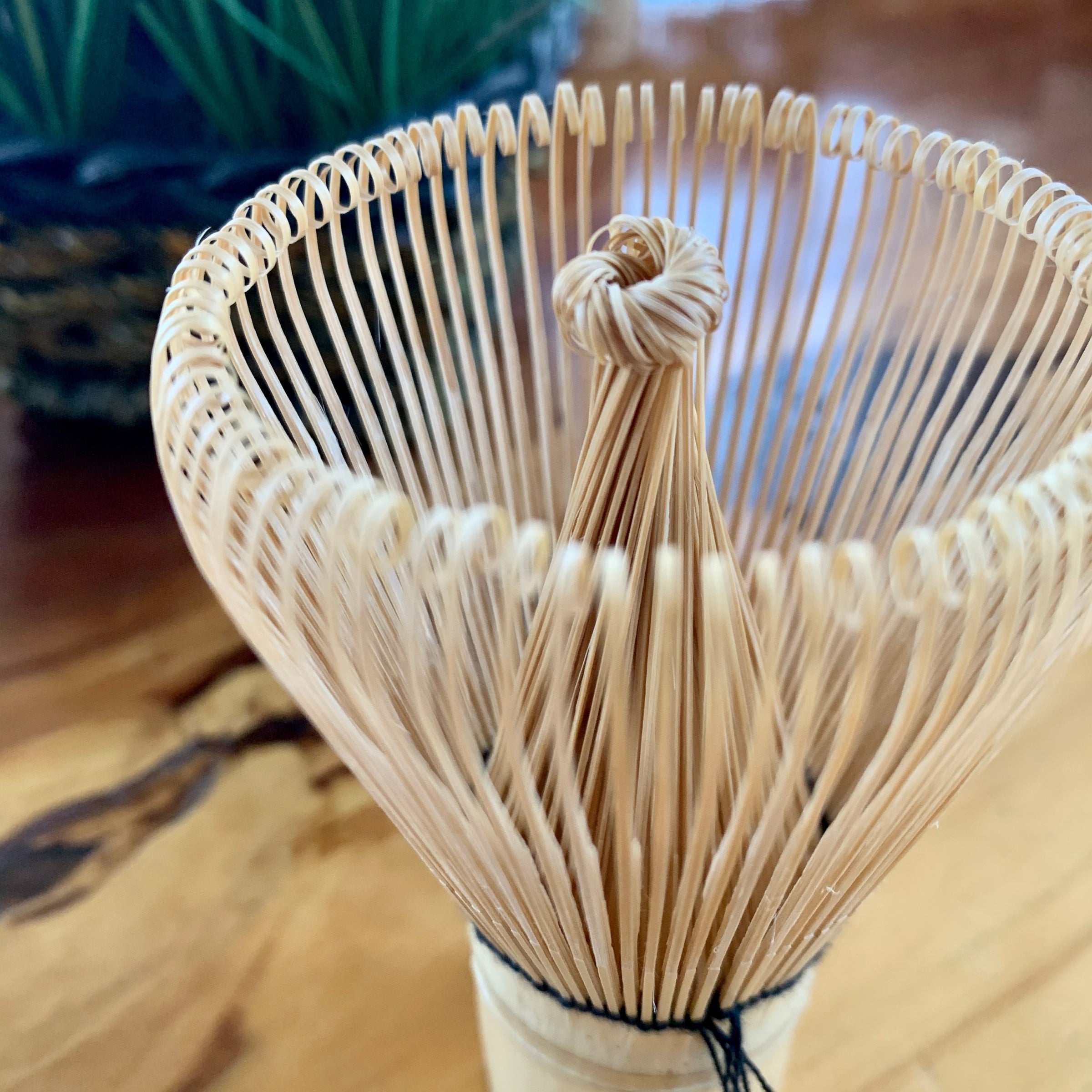 Matcha Whisk - 120-Prong Chasen | Suttle Tea